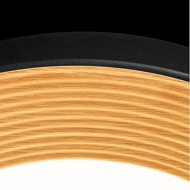 Потолочный светильник Folk 10255/500 Black