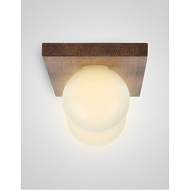 Потолочный светильник SS1N 000036816