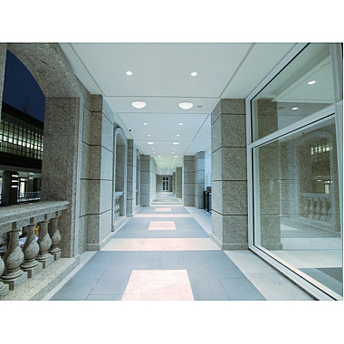 Потолочный светильник PIRES 8811