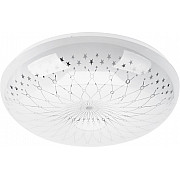 Потолочный светильник SPB-6-36-6,5K Feya