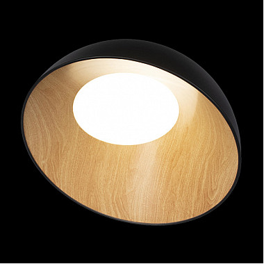 Потолочный светильник Egg 10197/500 Black