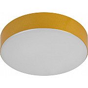 Потолочный светильник Relict 22 SPB-6-20 4К MG