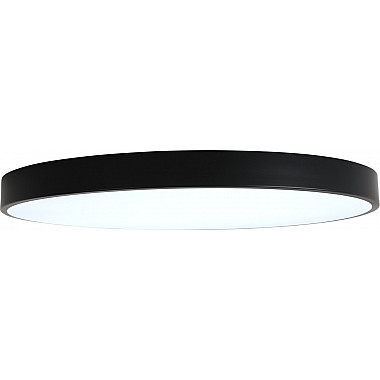 Потолочный светильник Tortty ZRS.02563.120