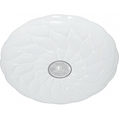 Потолочный светильник 00562-0.5-400