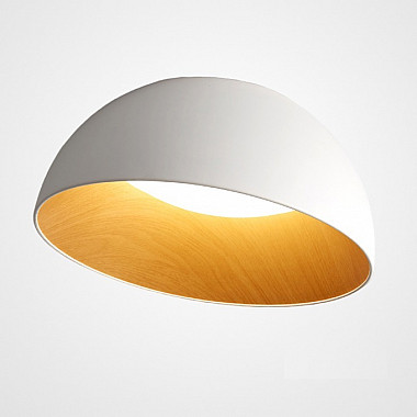 Потолочный светильник Bara Bara01