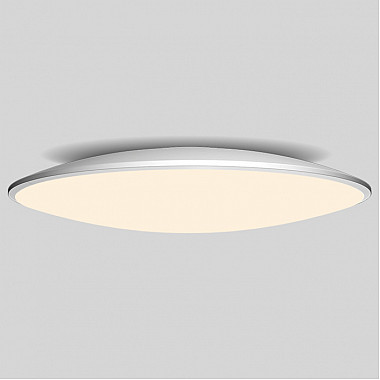 Потолочный светильник Slim 7977