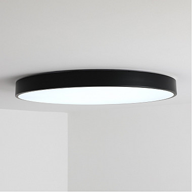 Потолочный светильник Tortty ZRS.02563.120