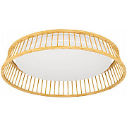 Потолочный светильник LUPPINERIA 900797