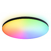 Потолочный светильник ORBITAL FZ2004