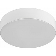 Потолочный светильник Relict 22 SPB-6-20 4К WH