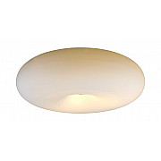 Потолочный светильник Opal 172/P38