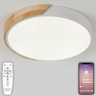 Потолочный светильник Scandinavian LED LAMPS 81181