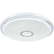 Потолочный светильник SS1L 000022068