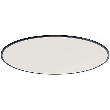 Потолочный светильник Disco DL20171R48W1B