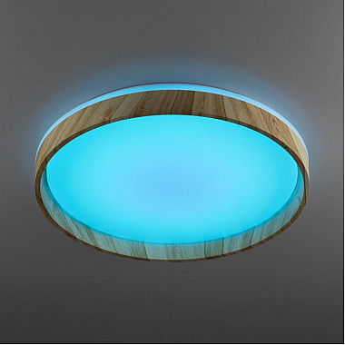 Потолочный светильник Enzo CL753452G