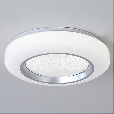 Потолочный светильник 02098-9.2-24W*2