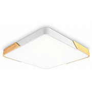 Потолочный светильник ORBITAL FZ1312