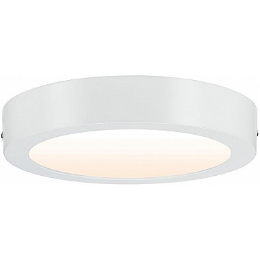 Потолочный светильник Carpo 79795