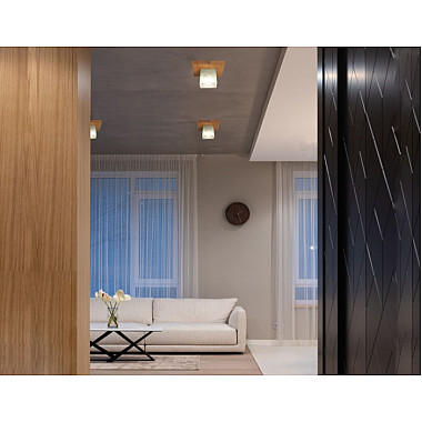 Потолочный светильник SS1N 000036807