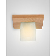 Потолочный светильник SS1N 000036807