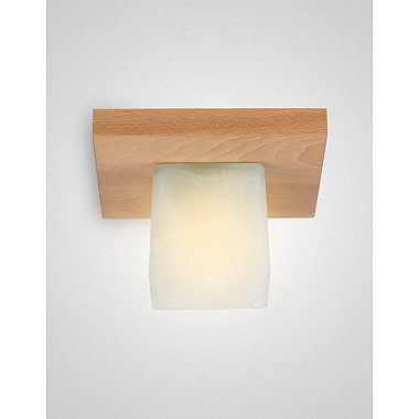 Потолочный светильник SS1N 000036807