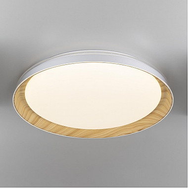 Потолочный светильник Mega CL752452G