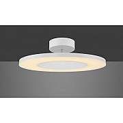 Потолочный светильник Discobolo 4491