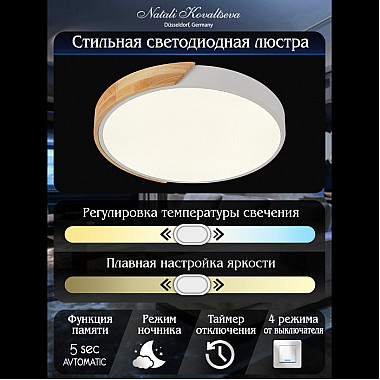 Потолочный светильник Scandinavian LED LAMPS 81181