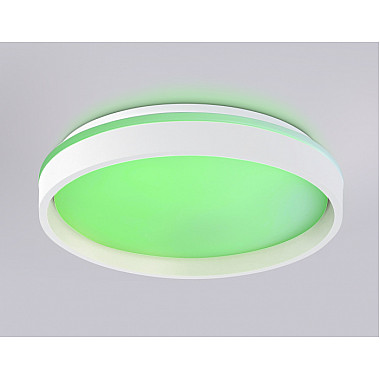 Потолочный светильник ORBITAL FZ601