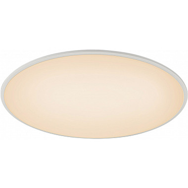 Потолочный светильник Slim 7978