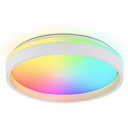 Потолочный светильник ORBITAL FZ601