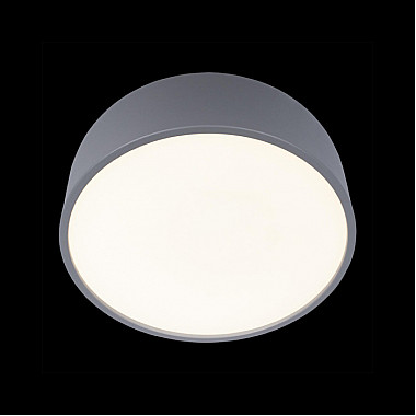 Потолочный светильник Axel 10201/350 Grey