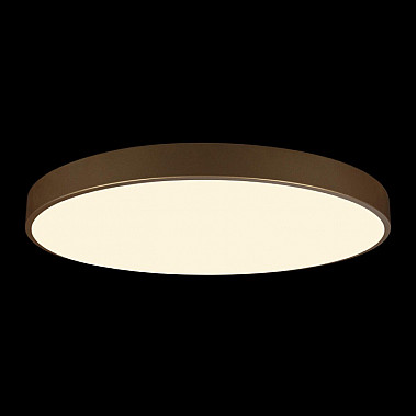 Потолочный светильник Flims 10228/B