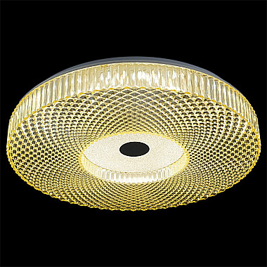 Потолочный светильник 02643-9.2-60WB