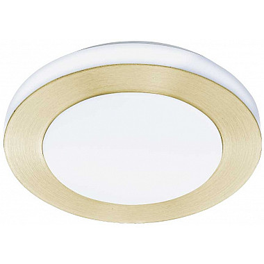 Потолочный светильник Led Carpi 900369