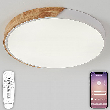 Потолочный светильник Scandinavian LED LAMPS 81182