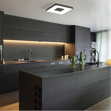 Потолочный светильник Coin 7917