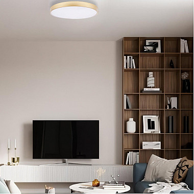 Потолочный светильник Flims 10228/B