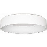 Потолочный светильник TOR RING 022137(1)