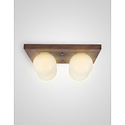 Потолочный светильник SS1N 000036818