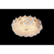 Потолочный светильник Infinita FL1152-12C