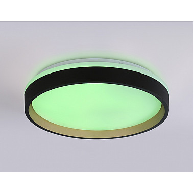 Потолочный светильник ORBITAL FZ604