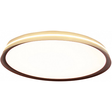 Потолочный светильник Titan MZ31502-430