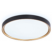 Потолочный светильник ORBITAL FZ1249