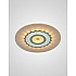 Потолочный светильник SS1L 000028915