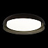 Потолочный светильник Coin 10198 Black