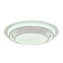 Потолочный светильник Thalassa MR9040-CL