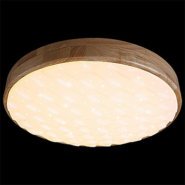 Потолочный светильник 60530-0.2-60W