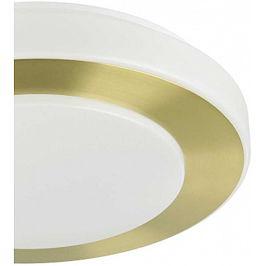 Потолочный светильник Led Carpi 900369