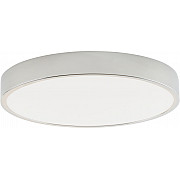 Потолочный светильник Tortty ZRS.02565.48
